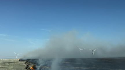 Les autorités tentent de contenir l'incendie Juliet Pass, dans le comté d'Armstrong, dans le nord de l'Etat du Texas, le 26 février 2024. (TEXAS A&M FOREST SERVICE / AFP)