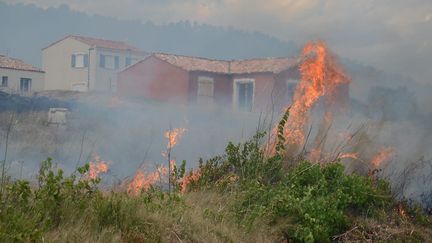 Incendies dans les Pyrénées-Orientales : un pompier tué dans un accident, des campings évacués