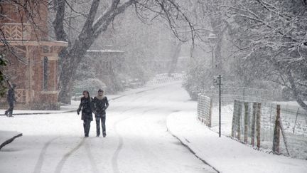 Le parc des Buttes-Chaumont, &agrave; Paris, sous la neige en 2013.&nbsp; (BEAUVIR-ANA / ONLY FRANCE / AFP)