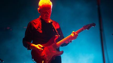 Le guitariste du groupe britannique Massive Attack sur scène au On Blackheath Festival à Londres, en 2014. (JUSTIN NG / MAXPPP)