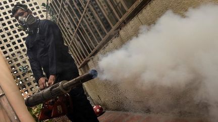 Le 28 janvier 2016, un employé diffuse un insecticide dans un jardin de Caracas afin de lutter contre le moustique aedes porteur du virus Zika. (AFP)