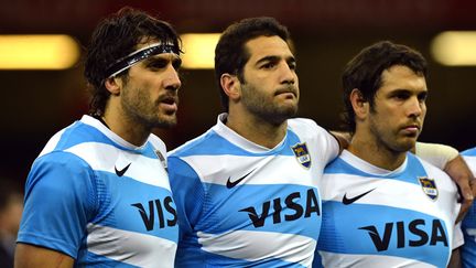 Juan Martin Fernandez Lobbe, l'une des stars de l'Argentine, ne participera pas aux prochains matchs amicaux