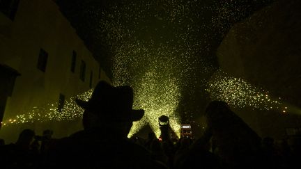 En clôture de la "Biennale d'art et de culture", la ville d'Aix-en-Provence a organisé un feu d'artifice "biodégradable". (CHRISTOPHE SIMON / AFP)