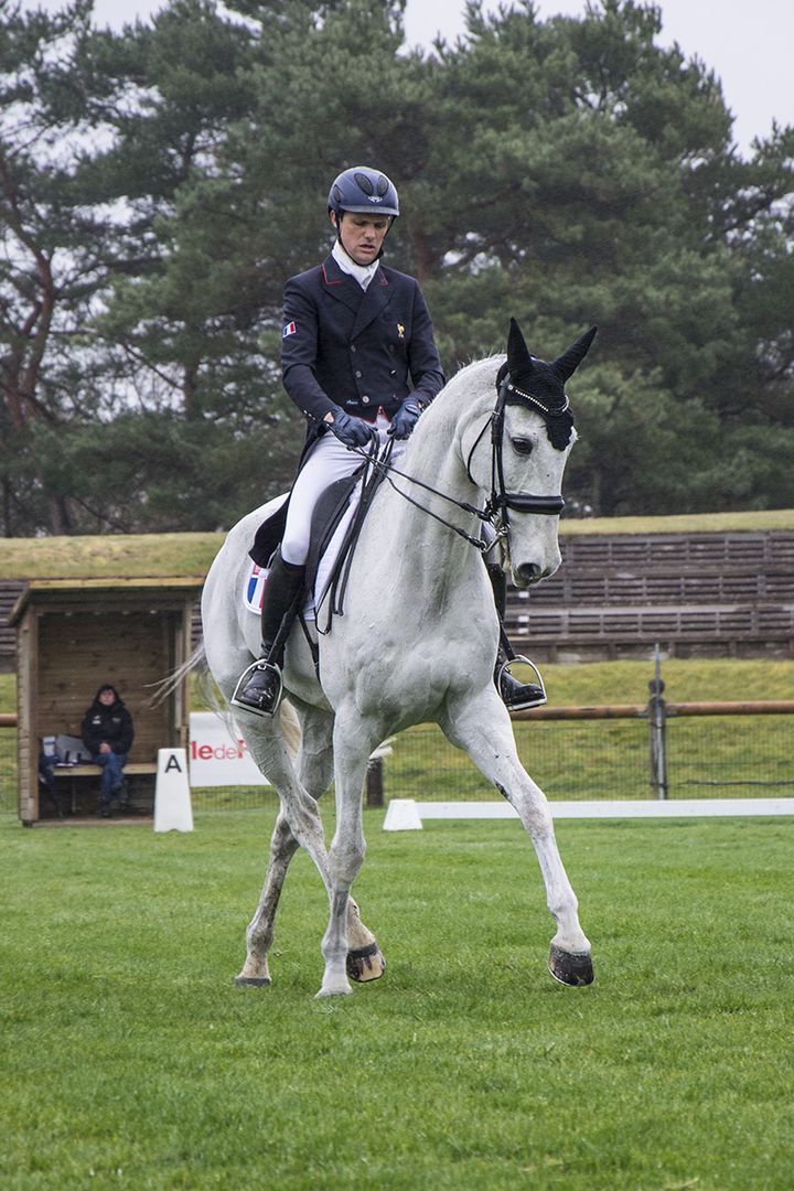 Nicolas Touzaint sur Crocket pour l'épreuve de dressage à Fontainebleau. (Eléonore Vanel)