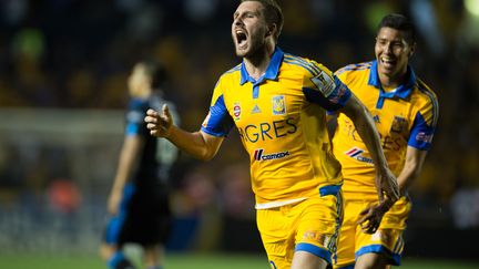 Le buteur français André-Pierre Gignac (JORGE MARTINEZ / MEXSPORT)