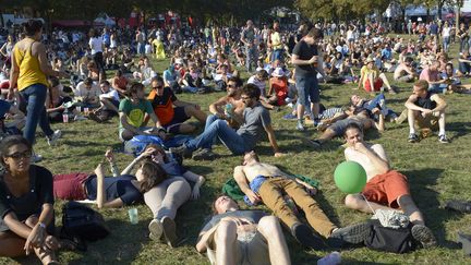 Le public de Rock en Seine (29 août 2015)
 (Bertrand Guay / AFP)