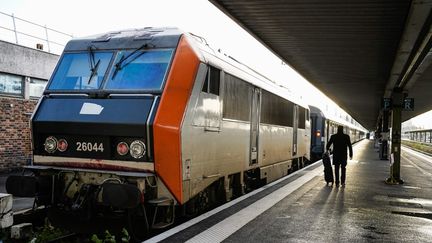 Un train Intercités en gare de Paris-Bercy et à destination de Clermont-Ferrand (Puy-de-Dôme), le 2 novembre 2023. (LAURE BOYER / HANS LUCAS / AFP)