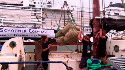 Transport : la voile, un moyen décarboné utilisé par un chocolatier pour importer ses fèves de cacao