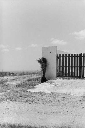 Ile de Lampedusa, Italie 2004 
 (Bernard Plossu )