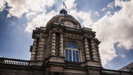 Le Sénat, au Palais du Luxembourg, à Paris, le 25 juin 2024. (XOSE BOUZAS / HANS LUCAS / AFP)