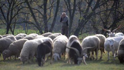 La location des terres publiques hongroises entachée de soupçon de favoritisme. (AFP)