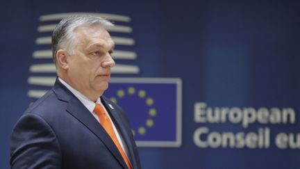 Le Premier ministre hongrois Viktor Orban lors d'un sommet européen, à Bruxelles. (OLIVIER HOSLET / EPA)