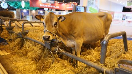 Le Salon de l'Agriculture ouvre ses portes