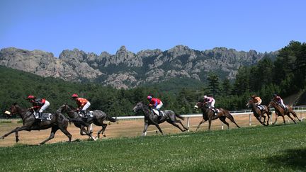 Une course hippique sur l'hippodrome de Vis&eacute;&agrave;, &agrave; Zonza, en Corse-du-Sud, le 6 juillet 2008.&nbsp; ( MAXPPP)