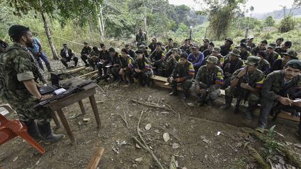 Les Farc suivent un cours, expliquant les détails de l'accord avec le gouvernement, dans un camp en montagne le 18 février 2016. (LUIS ACOSTA / AFP)