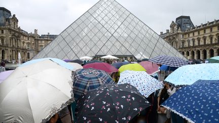 Des personnes font la queue, sous la pluie, pour acc&eacute;der au mus&eacute;e du Louvre, &agrave; Paris, le 8 ao&ucirc;t 2014.&nbsp; (DOMINIQUE FAGET / AFP)