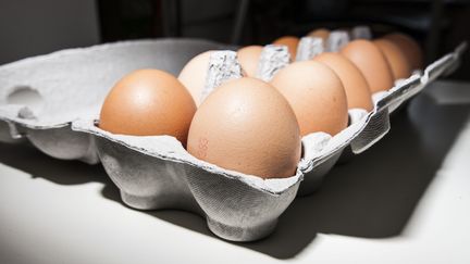 La crise des&nbsp;œufs contaminés au fipronil&nbsp;a déjà touché quinze pays de l'Union européenne.&nbsp; (KEVIN VAN DEN PANHUYZEN / NURPHOTO)