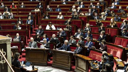 Les députés siègent à l'Assemblée nationale, à Paris, le 12 octobre 2022. (GAUTHIER BEDRIGNANS / HANS LUCAS / AFP)