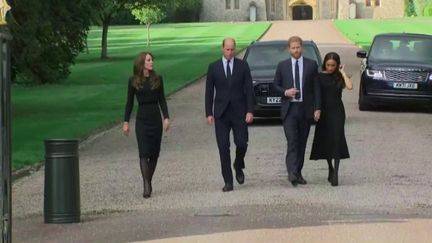 Royaume-Uni : William et Harry réunis dans le deuil (France 2)