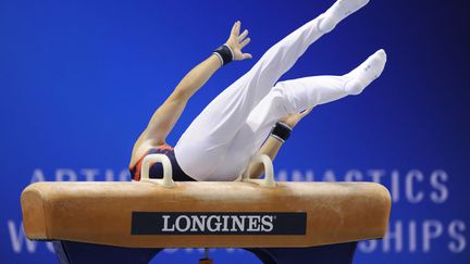 L'Espagnol Fabian Gonzales tombe du cheval d'ar&ccedil;on aux championnats du monde de gymnastique &agrave; Tokyo (Japon), le 10 octobre 2011. (KAZUHIRO NOGI / AFP)