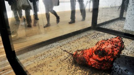 Vie et mort sont repr&eacute;sent&eacute;s dans "Un millier d'ann&eacute;es" ("A Thousand Years"), une vitrine o&ugrave; des millions de mouches volent &agrave; c&ocirc;t&eacute; d'un cr&acirc;ne de vache ensanglant&eacute;. (REX / SIPA)