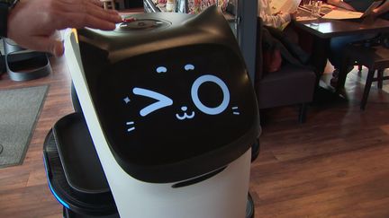 Bella, l'un des deux robots-serveurs de ce restaurant drômois. (France 3 Rhône-Alpes)