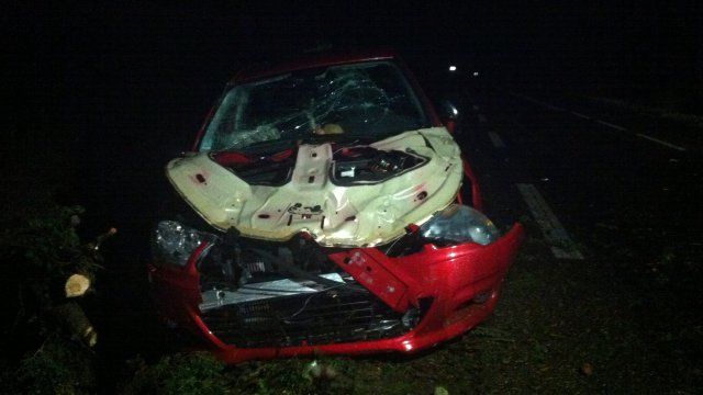 Une femme de 29 ans est morte dans sa voiture, &eacute;cras&eacute;e par un arbre, &agrave;&nbsp;Montbeton (Tarn-et-Garonne), le 31 ao&ucirc;t 2015. (P. LAGORCE / FRANCE 3)