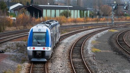 Un TER circule en Picardie, le 30 novembre 2019. (AMAURY CORNU / HANS LUCAS / AFP)