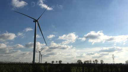 Des éoliennes installées par l’association citoyenne "À tous vents" à Chemillé-en-Anjou, près d’Angers. (GREGOIRE LECALOT / RADIOFRANCE)