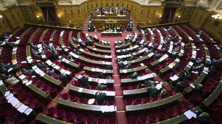 Vue de l'hémicycle du Sénat, à Paris, le 13 novembre 2012.&nbsp; (JOEL SAGET / AFP)