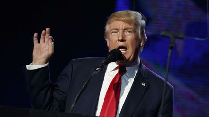 Donald Trump, candidat républicain à la Maison Blanche, lors d'un meeting à Edison (Etats-Unis), le 15 octobre 2016. (EVAN VUCCI / AP / SIPA)