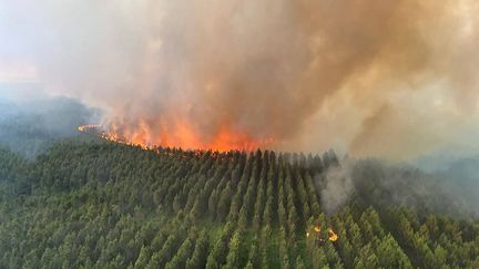 Un feu de forêt près de Landiras, en Gironde, le 14 juillet 2022.
 (AP /SIPA)