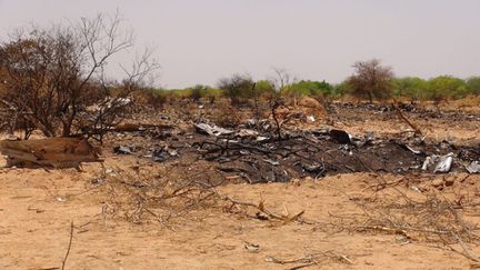 &nbsp; (Les restes du MD 83 d'Air Algérie dans le nord du Mali © Maxppp)