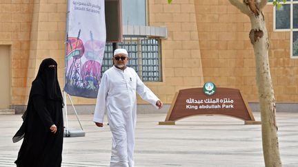 C'est au King Abdullah Park, un lieu qui accueille un festival de spectacles et de divertissements, que s'est déroulée l'agression. (FAYEZ NURELDINE / AFP)