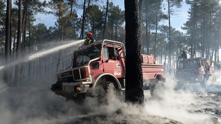 Des pompiers tentent d'&eacute;teindre le feu &agrave; Pessac (Gironde), le 26 juillet 2015. (MEHDI FEDOUACH / AFP)