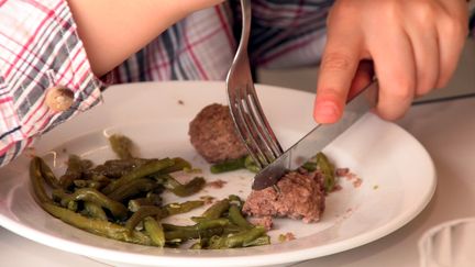 Un amendement qui vise à supprimer le plastique des cantines scolaires sera discuté cette semaine