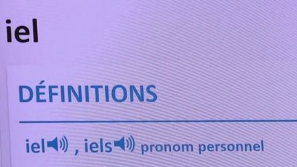 Le célèbre dictionnaire du Petit Robert a ajouté le pronom "iel", la contraction de "il" et de "elle", à son édition numérique. Le pronom peut être utilisé pour les personnes qui ne reconnaissent ni dans le masculin, ni dans le féminin. Le terme n'est pas encore rentré dans le langage courant. (Capture d'écran France 2)