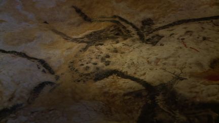 Reproduction à l'identique d'une peinture de la grotte de Lascaux&nbsp; (Capture d'image / France Télévisions)