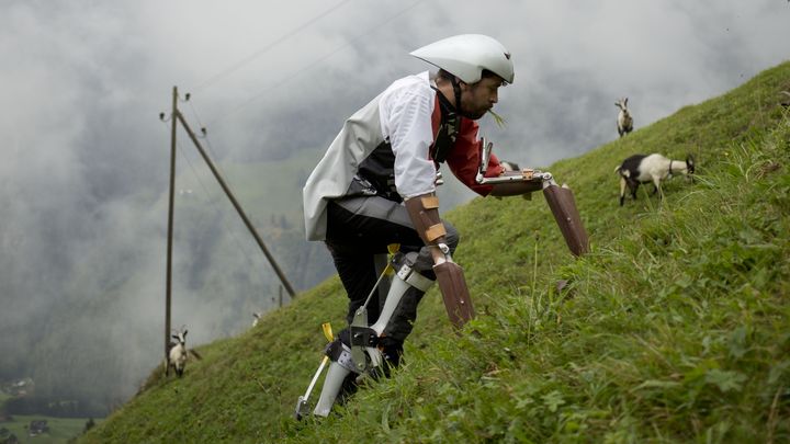 Le designer britannique Thomas Thwaites broute de l'herbe au millieu des ch&egrave;vres. (TIM BOWDITCH)