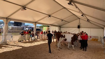 Le festival agricole Les Terres de Jim se déroule du 6 au 7 septembre à Mamirolle, dans le Doubs. (ÉDOUARD MARGUIER / RADIO FRANCE)