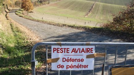 Une exploitation touchée par la grippe aviaire dans le Gers, le 13 décembre 2016. (MAXPPP)