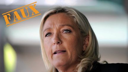 &nbsp; (Marine Le Pen affirme qu'il y a "10 millions de cartes Vitale surnuméraires dont une grande partie de fausses cartes" © Maxppp)