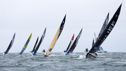 La Solitaire du Figaro, l'an dernier, au large du Havre. (CHARLY TRIBALLEAU / AFP)