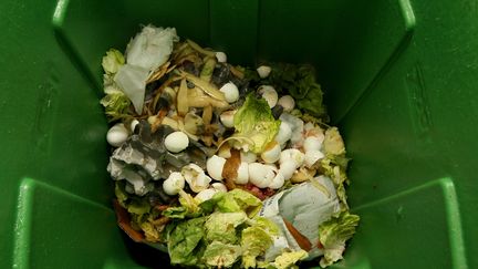 Compost : la deuxieme vie des épluchures