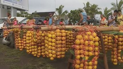 Polynésie : la cueillette des oranges, une tradition tahitienne