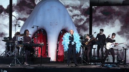 Philippe Katerine sur scène lors de la 35e édition des Victoires de la musique, vendredi 14 février 2020 à Boulogne-Billancourt (Hauts-de-Seine). (ALAIN JOCARD / AFP)