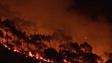 Incendies : le sud de l'Europe victime des flammes