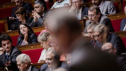 &nbsp; (Cécile Duflot a réclamé en vain une minute de silence à la mémoire de Rémi Fraisse © MAXPPP)