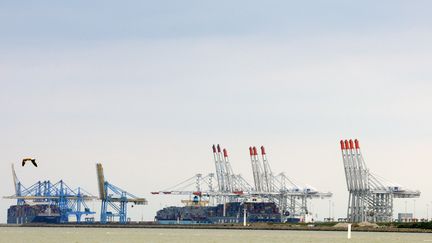 Des conteneurs sont charg&eacute;s sur des paquebots, dans le port du Havre (Seine-Maritime), o&ugrave; une saisie de coca&iuml;ne record a eu lieu, mercredi 21 f&eacute;vrier 2014.&nbsp; (DOMINIQUE DELFINO / BIOSPHOTO / AFP)