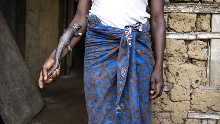 Dans un autre village, une femme qui sort de sa maison avec un bébé pangolin accrochée à elle raconte que son mari a trouvé un petit pangolin avec sa mère, qu’ils "ont mangée tout de suite". (JOHN WESSELS / AFP)